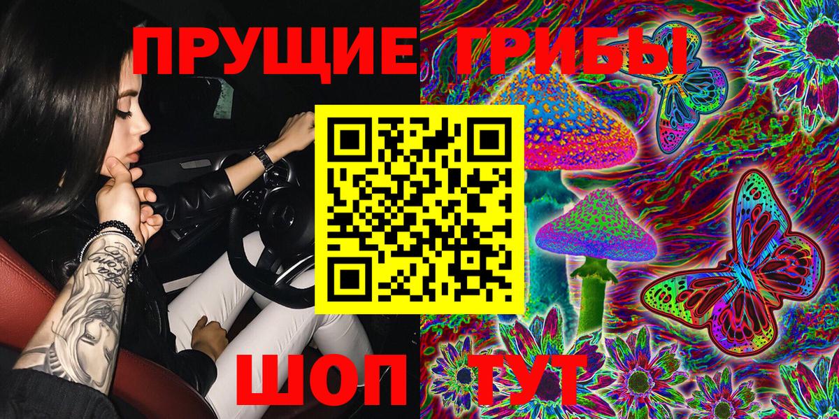 Гудермес  Псилоцибиновые грибы ЛСД  Вход с VPN 